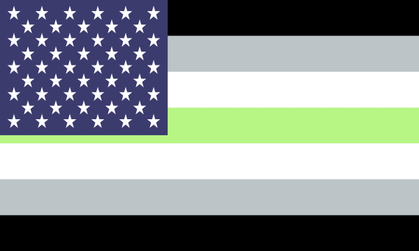 Flag Agender Usa