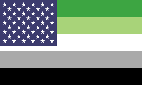 Flag Aromantic Usa