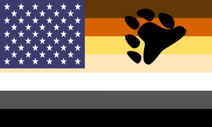 Flag Bear Pride Usa