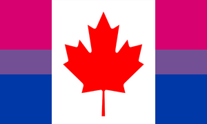 Flag Bisexual Canada