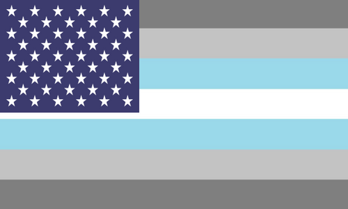 Flag Demiboy Usa