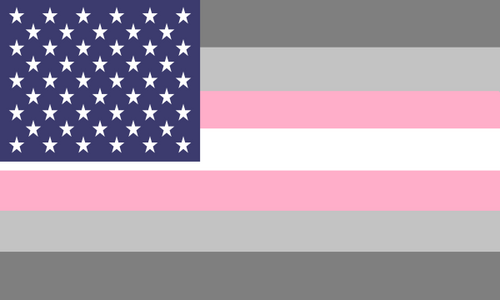 Flag Demigirl Usa