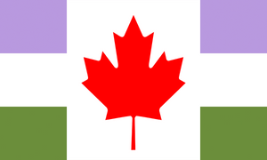 Flag Genderqueer Canada