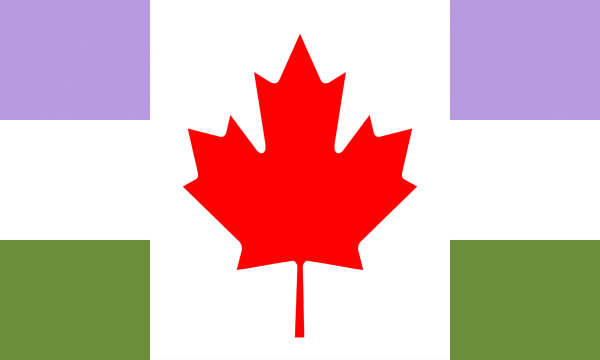 Flag Genderqueer Canada