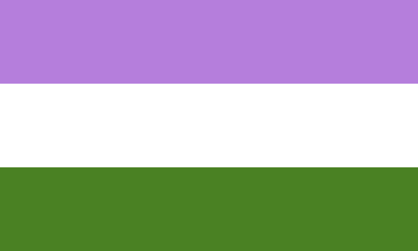 Flag Genderqueer