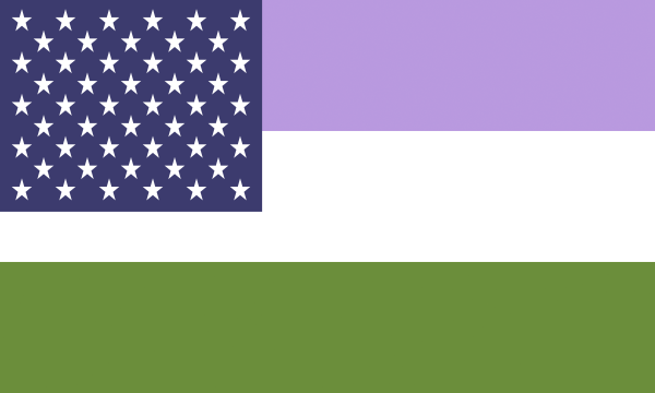 Flag Genderqueer Usa