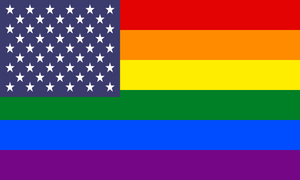 Flag Lgbt Usa