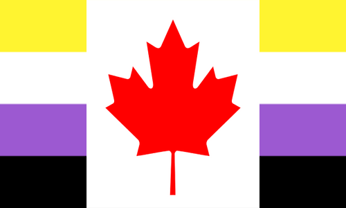 Flag Non Binary Canada
