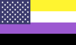 Flag Non Binary Usa