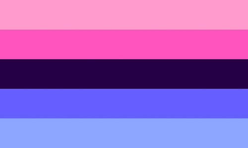 Flag Omnisexual