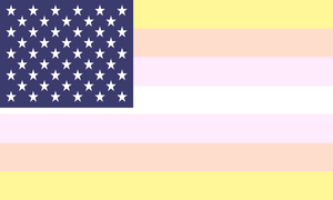 Flag Pangender Usa
