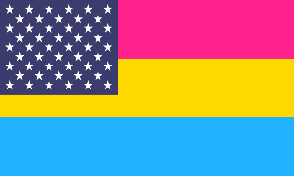 Flag Pansexual Usa
