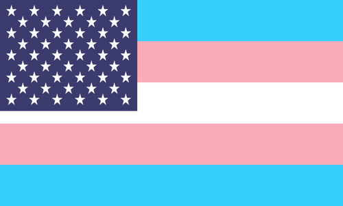 Flag Transgender Usa