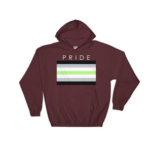 Hooded Sweatshirt - Agender Pride Maroon / S