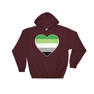 Hooded Sweatshirt - Aromantic Big Heart Maroon / S