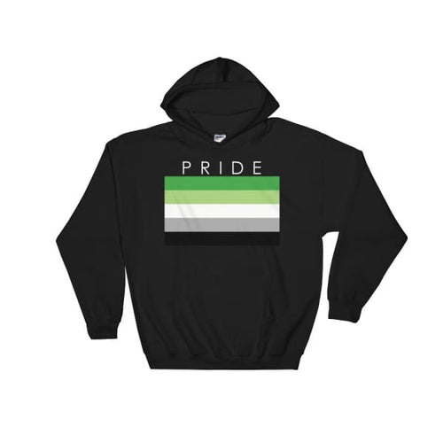 Hooded Sweatshirt - Aromantic Pride Black / S