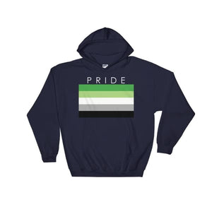 Hooded Sweatshirt - Aromantic Pride Navy / S