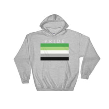 Hooded Sweatshirt - Aromantic Pride Sport Grey / S