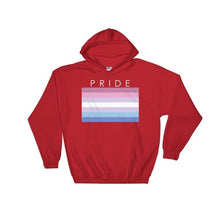 Hooded Sweatshirt - Bigender Pride Red / S