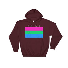 Hooded Sweatshirt - Polysexual Pride Maroon / S