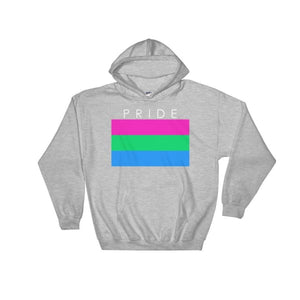 Hooded Sweatshirt - Polysexual Pride Sport Grey / S