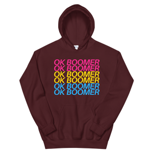 Hooded Sweatshirt - Pansexual OK BOOMER
