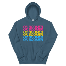 Hooded Sweatshirt - Pansexual OK BOOMER