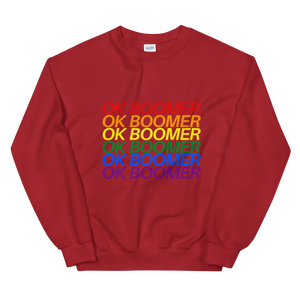 Sweatshirt - LGBT OK BOOMER