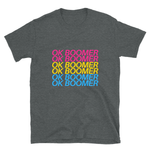 T-Shirt - Pansexual OK BOOMER