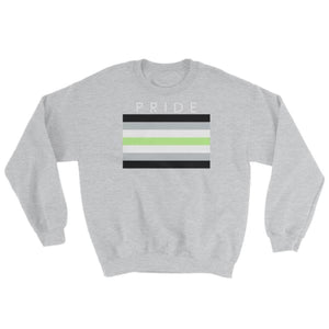 Sweatshirt - Agender Pride Sport Grey / S
