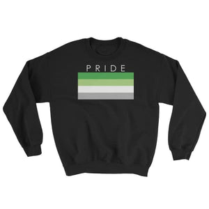 Sweatshirt - Aromantic Pride Black / S