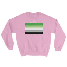 Sweatshirt - Aromantic Pride Light Pink / S