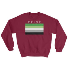 Sweatshirt - Aromantic Pride Maroon / S
