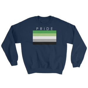 Sweatshirt - Aromantic Pride Navy / S
