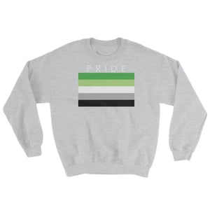 Sweatshirt - Aromantic Pride Sport Grey / S