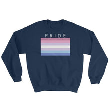 Sweatshirt - Bigender Pride Navy / S