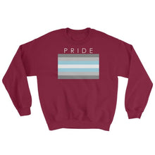 Sweatshirt - Demiboy Pride Maroon / S