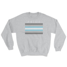 Sweatshirt - Demiboy Pride Sport Grey / S