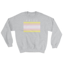 Sweatshirt - Pangender Pride Sport Grey / S