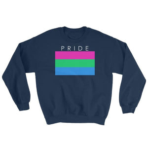 Sweatshirt - Polysexual Pride Navy / S
