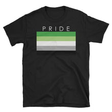T-Shirt - Aromantic Pride Black / S