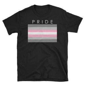 T-Shirt - Demigirl Pride Black / S