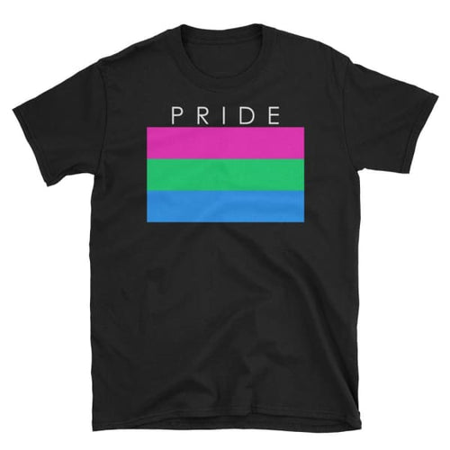 T-Shirt - Polysexual Pride Black / S